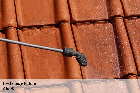 hydrofuge-toiture 