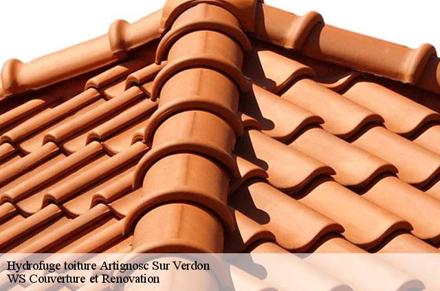 Hydrofuge toiture  artignosc-sur-verdon-83630 WS Couverture et Renovation