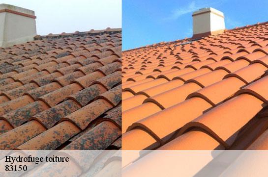 hydrofuge-toiture 