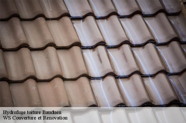 Hydrofuge toiture  83630