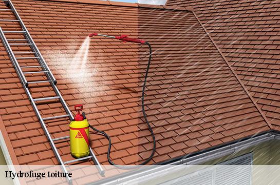 hydrofuge-toiture