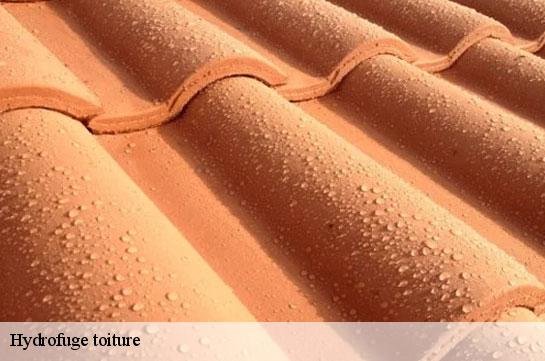 hydrofuge-toiture
