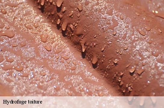 hydrofuge-toiture 