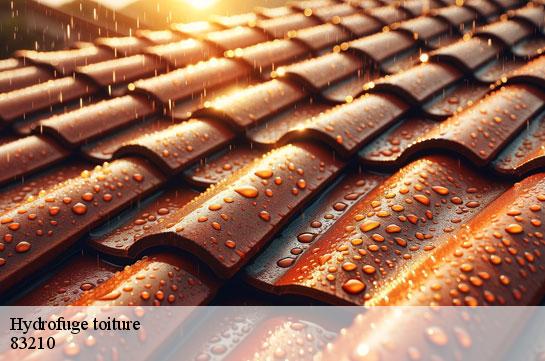 hydrofuge-toiture 