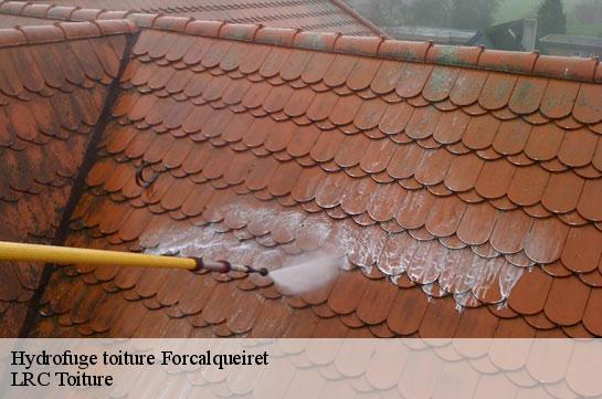 hydrofuge-toiture 