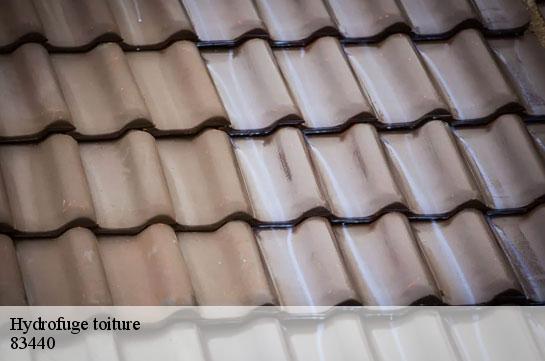 hydrofuge-toiture 