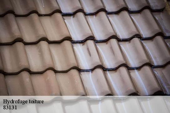 hydrofuge-toiture