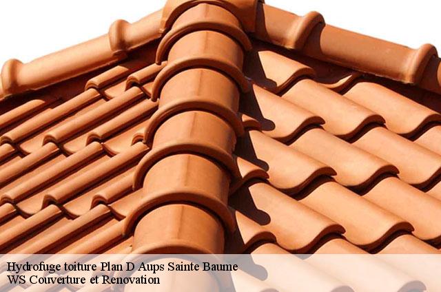 Hydrofuge toiture  plan-d-aups-sainte-baume-83640 WS Couverture et Renovation