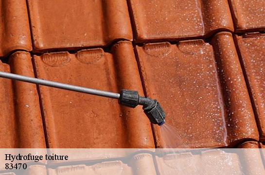 hydrofuge-toiture 