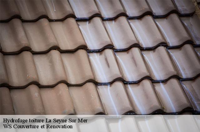 Hydrofuge toiture  83500
