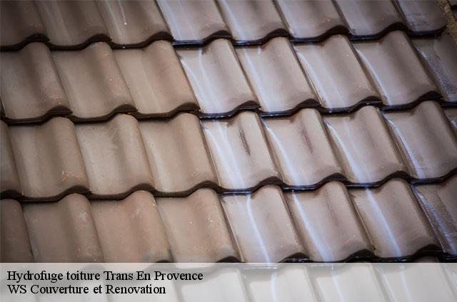 Hydrofuge toiture 83720