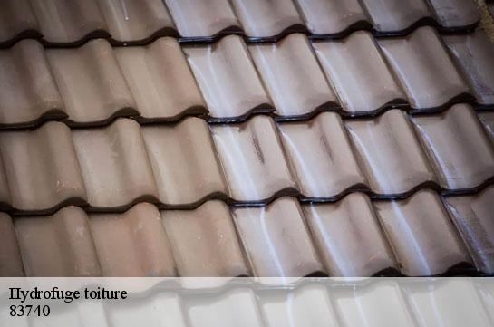 hydrofuge-toiture