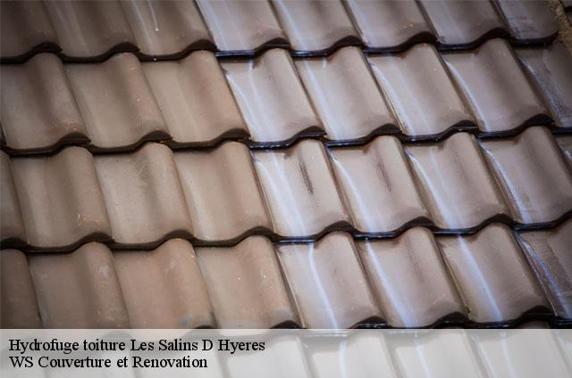 Hydrofuge toiture  83400