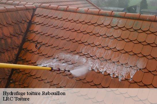 hydrofuge-toiture 