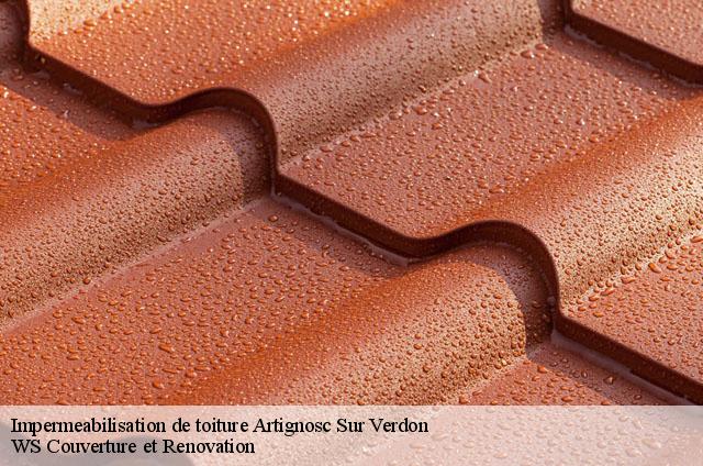 Impermeabilisation de toiture  artignosc-sur-verdon-83630 WS Couverture et Renovation