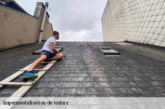 impermeabilisation-de-toiture 