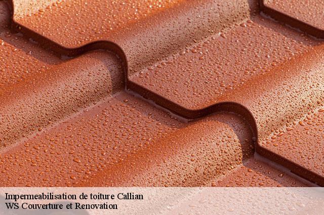 Impermeabilisation de toiture  callian-83440 WS Couverture et Renovation