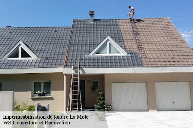 Impermeabilisation de toiture  83310