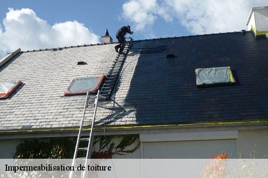 impermeabilisation-de-toiture