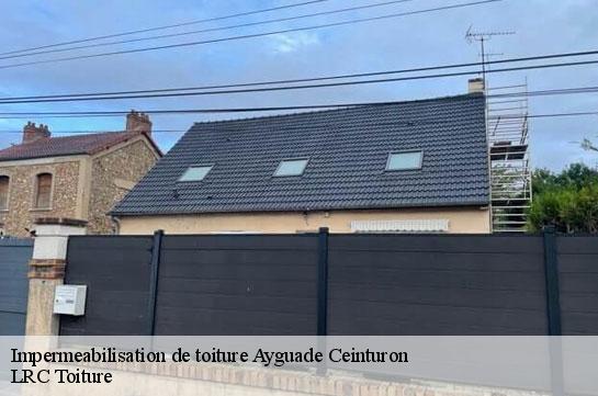 impermeabilisation-de-toiture 