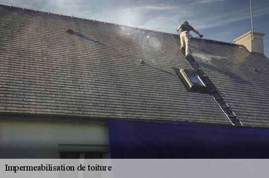 impermeabilisation-de-toiture