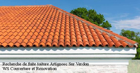 Recherche de fuite toiture  artignosc-sur-verdon-83630 WS Couverture et Renovation