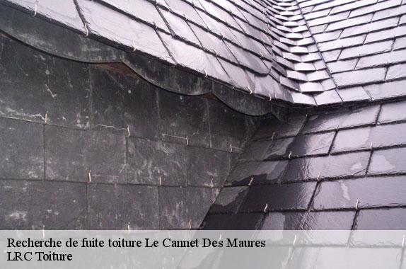 recherche-de-fuite-toiture