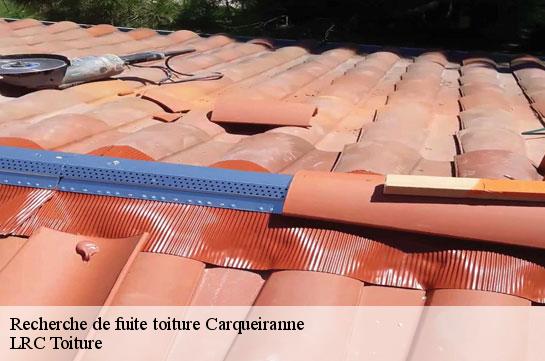 recherche-de-fuite-toiture 