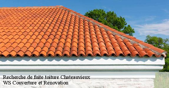 Recherche de fuite toiture  chateauvieux-83840 WS Couverture et Renovation