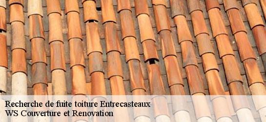 Recherche de fuite toiture  83570