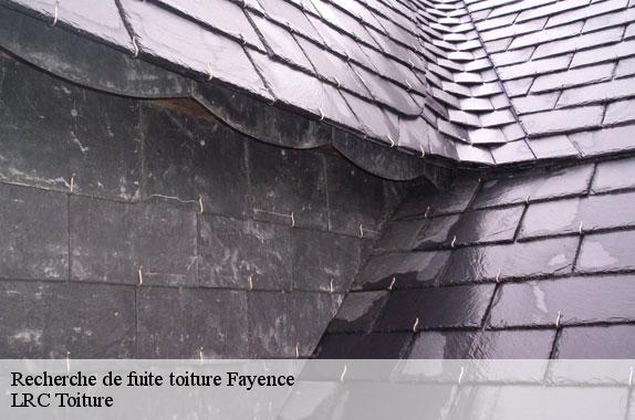 recherche-de-fuite-toiture