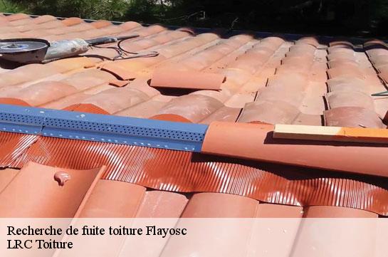 recherche-de-fuite-toiture 