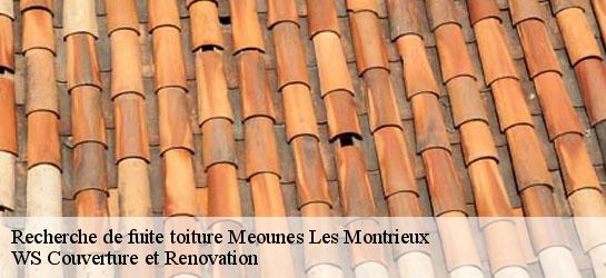 Recherche de fuite toiture  83136