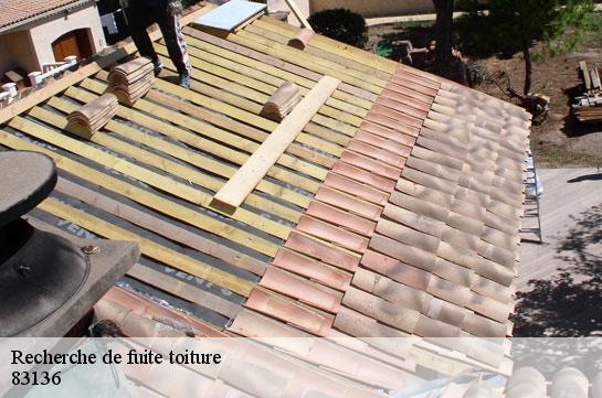 recherche-de-fuite-toiture 