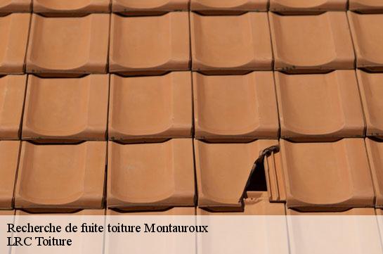 recherche-de-fuite-toiture 