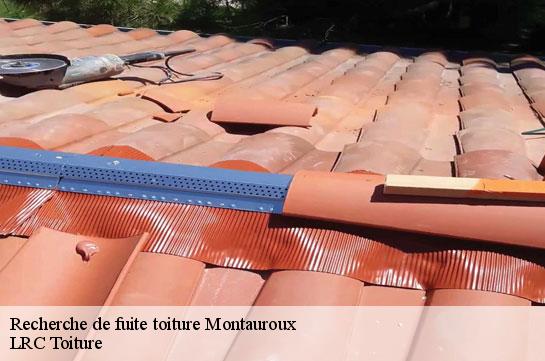 recherche-de-fuite-toiture 