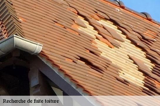 recherche-de-fuite-toiture 