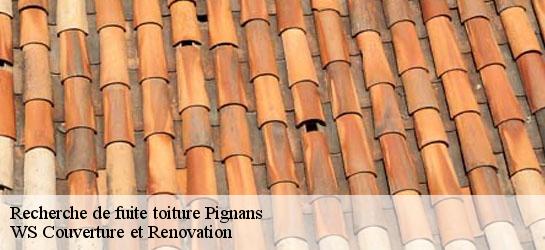 Recherche de fuite toiture  83790