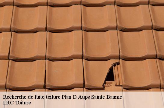 recherche-de-fuite-toiture 