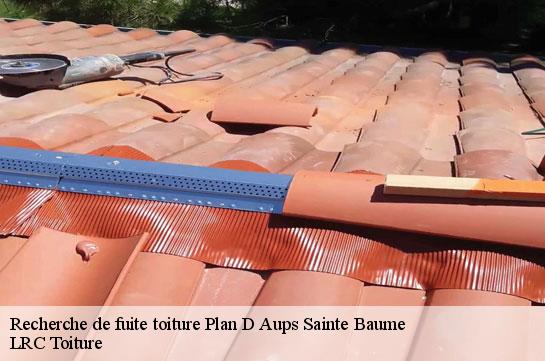 recherche-de-fuite-toiture 