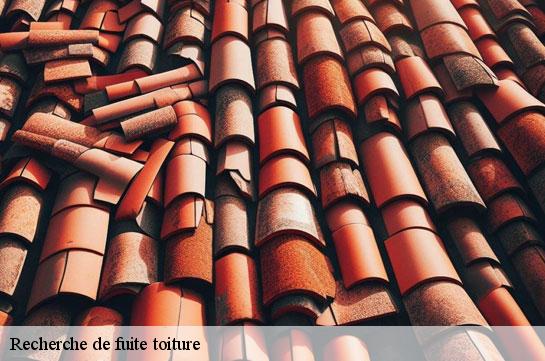 recherche-de-fuite-toiture