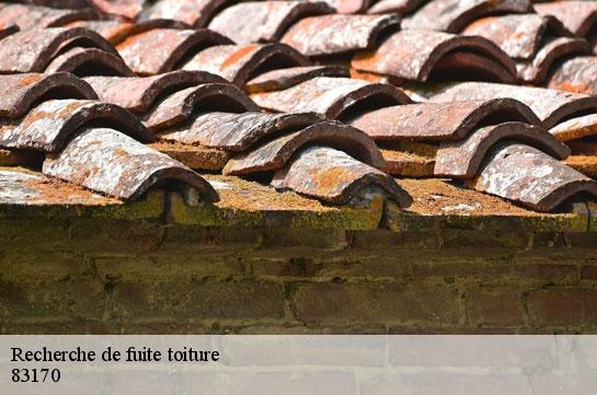 recherche-de-fuite-toiture 