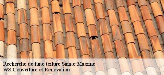 Recherche de fuite toiture  83120