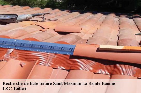 recherche-de-fuite-toiture 