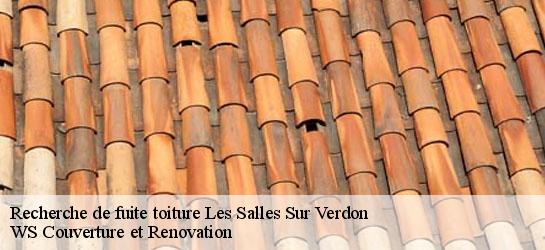 Recherche de fuite toiture  83630