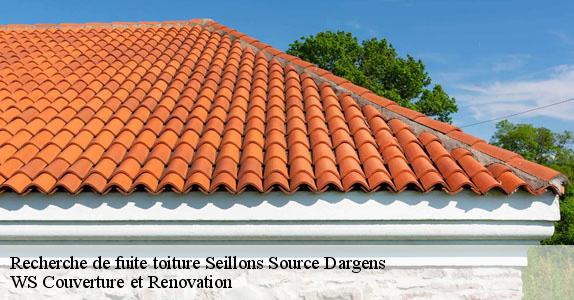 Recherche de fuite toiture  seillons-source-dargens-83470 WS Couverture et Renovation