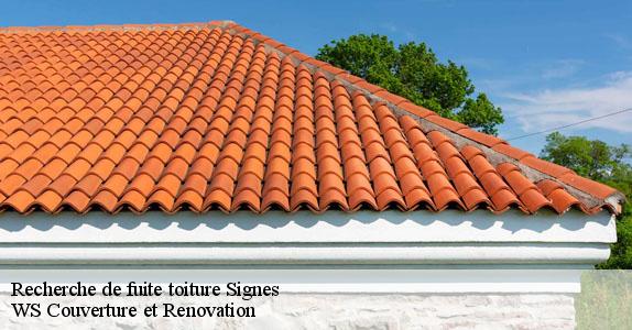 Recherche de fuite toiture  signes-83870 WS Couverture et Renovation