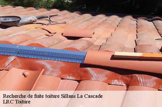 recherche-de-fuite-toiture 