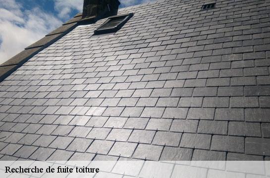 recherche-de-fuite-toiture 
