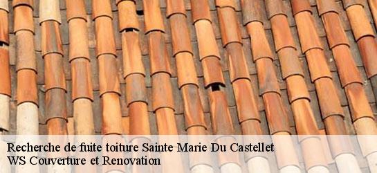 Recherche de fuite toiture  83330